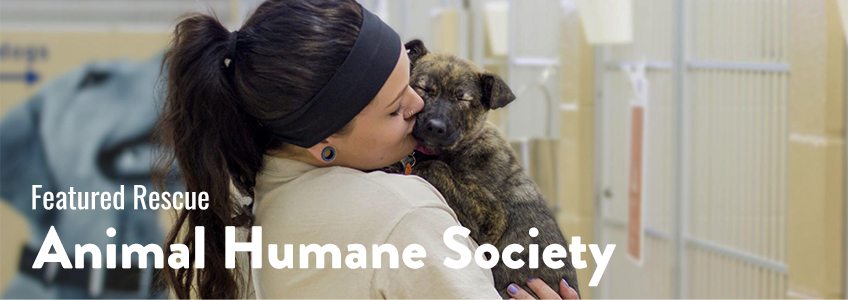 Animal-Humane-Society-Image