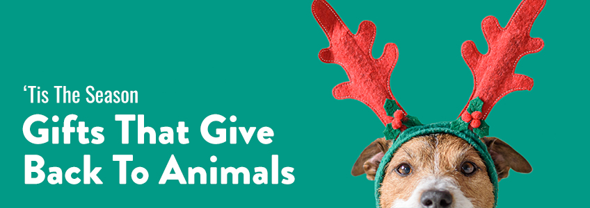 Gifts That Give Back to Animals